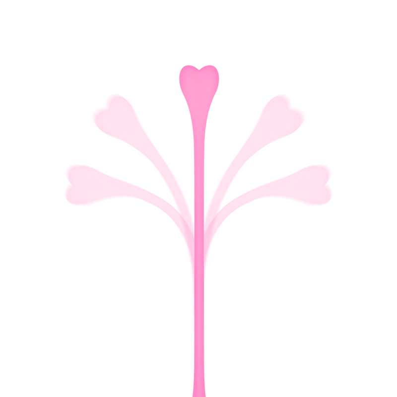 OHMAMA - SET DE 5 BOLAS DE EJERCICIOS DE KEGEL