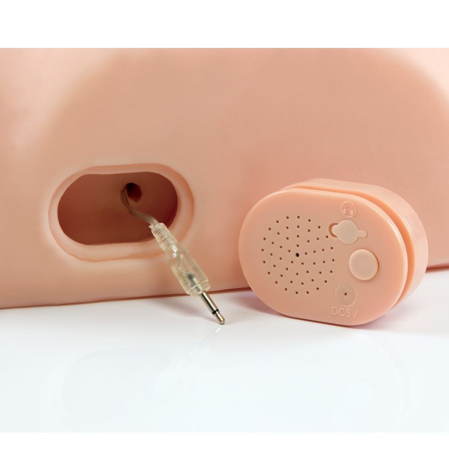 PDX MALE - INTERACTIVO FÓLLALO TONTO