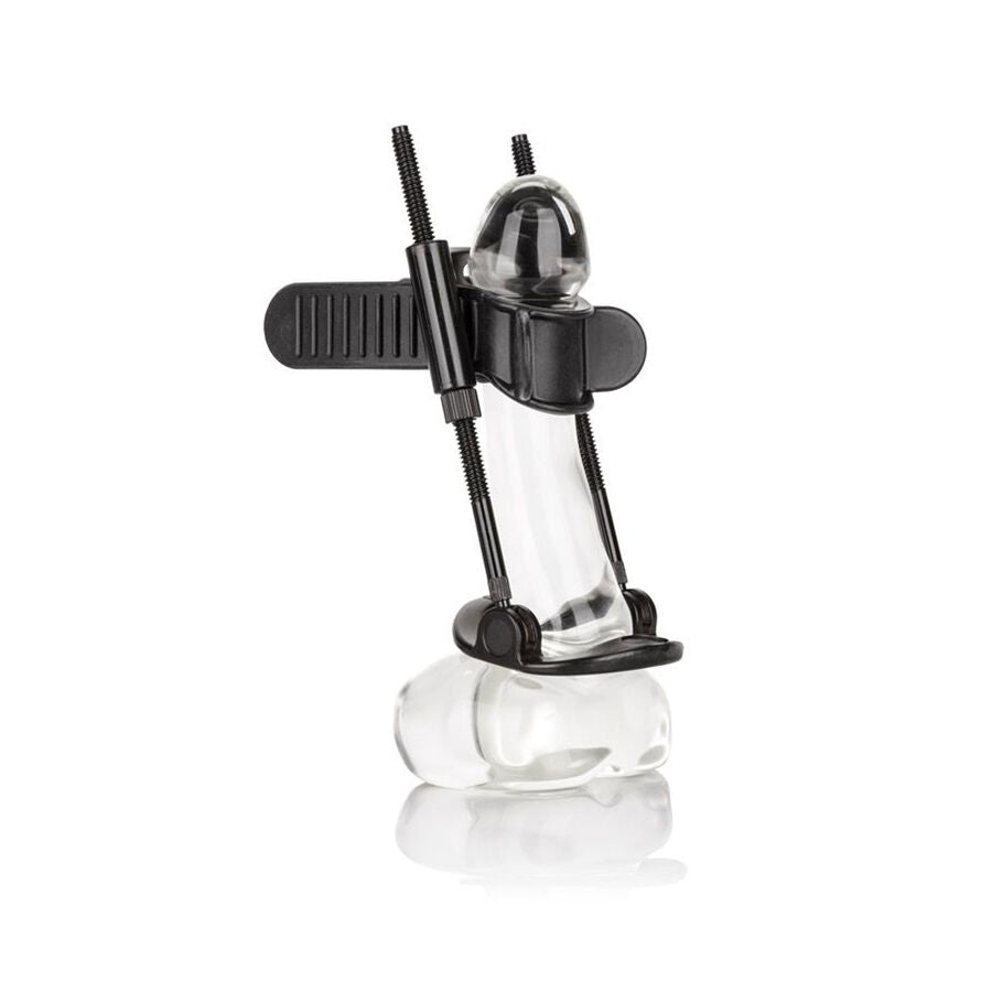 CALEXOTICS - EXTENSOR DE PENE